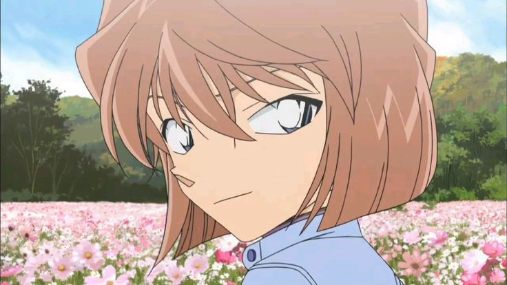 boxmoe_header_banner_img